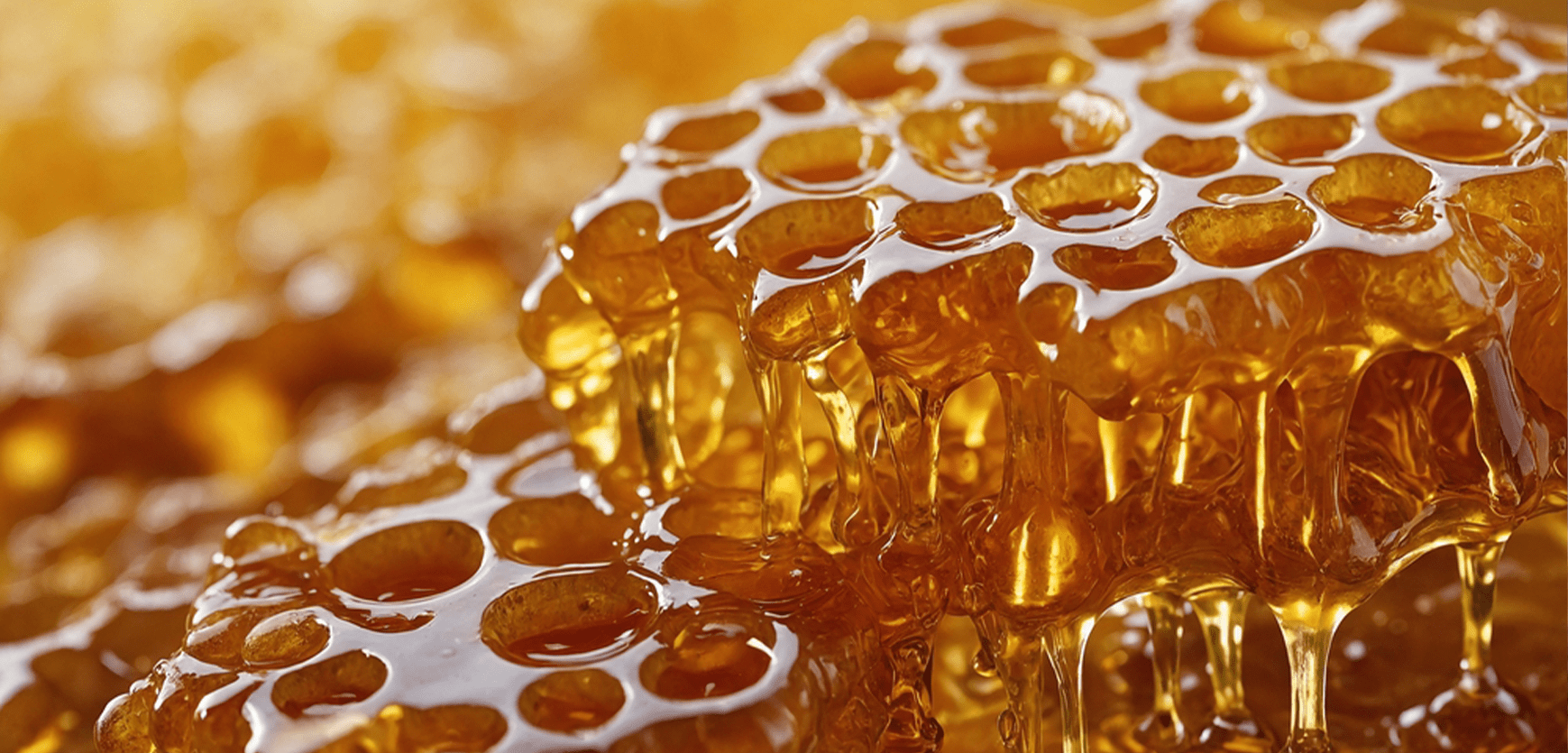 Honey Quality – Beyond Myths, Tests, and Half-Truths