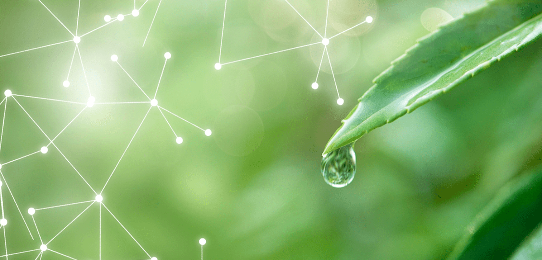 When Nature Meets Science – Why Process Matters More Than Claims