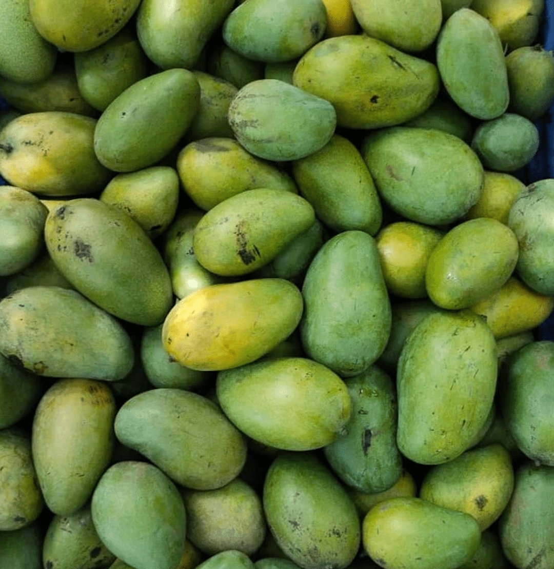 Fresh Amrapali Mango
