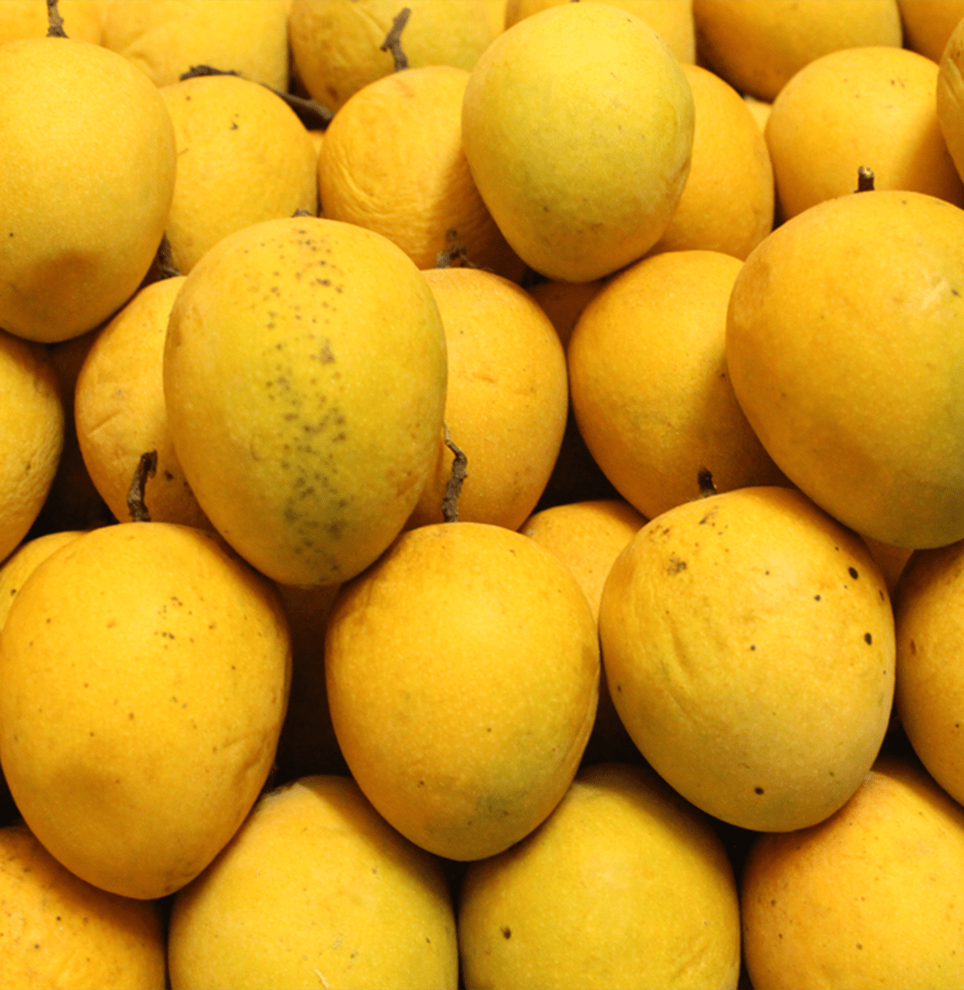 Fresh Hapus Mango