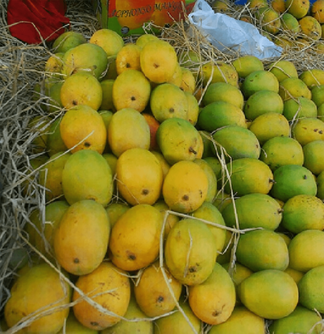 Fresh Kesar Mango
