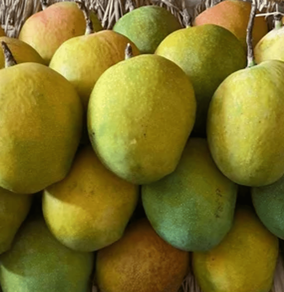 Fresh Payari Mango