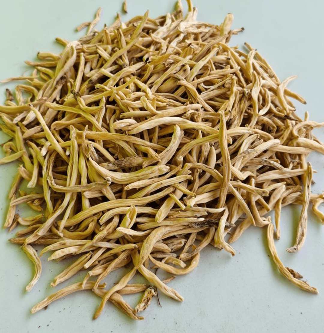 Musli Root Angle 3